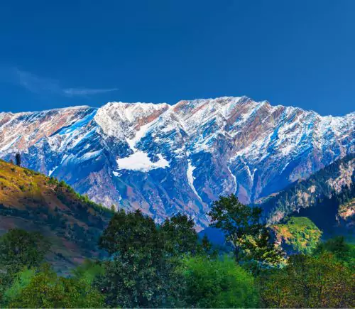 Scenic Kullu Manali From Chandigarh Package