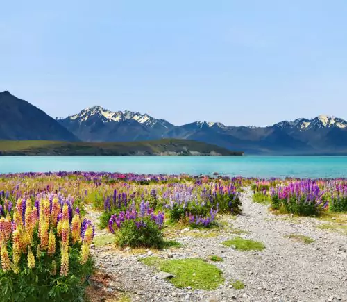 6 Day New Zealand South Island Itinerary